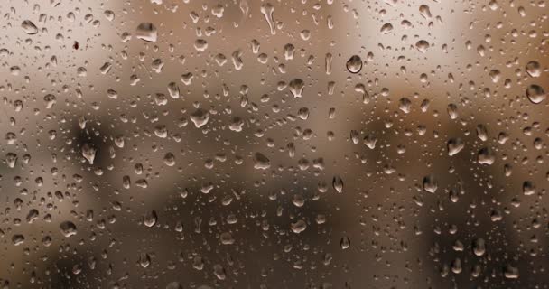 窓の外で雨だ 雨滴がガラスの下を走る ガラスの上の雨の滴 雨に焦点を当てると ガラスを下に実行してドロップします 秋のドアの外の背景 秋の抽象的な背景 出血しています — ストック動画