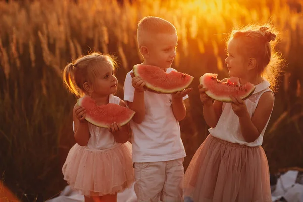 Glückliche Kinder Essen Wassermelone Sommer Bei Sonnenuntergang Auf Dem Feld — Stockfoto