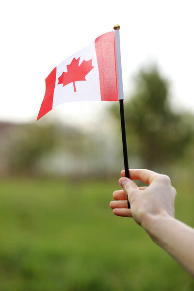 Flag Canada National Symbol Waving Sunny Day Canada Flag Woman Stock Photo