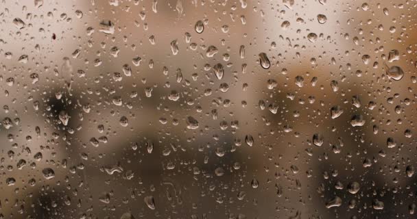 Lluvia fuera de la ventana. gotas de lluvia corren por el cristal. Las gotas de lluvia en el vaso. Concéntrate en las gotas de lluvia que caen por el cristal. fondo de otoño al aire libre. Fondo abstracto de otoño. Borrosa.. — Vídeo de stock
