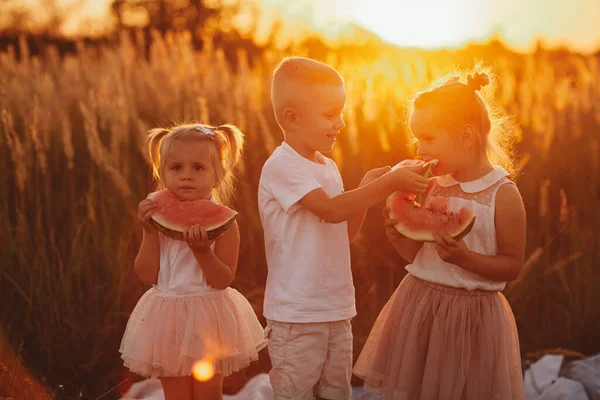 Crianças Felizes Comendo Melancia Verão Pôr Sol Campo Piquenique Verão — Fotografia de Stock