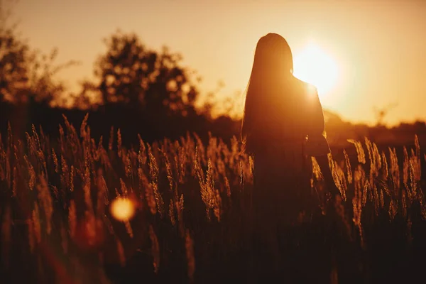 Baharda Sunset 'te tarlada, yaz manzarası arka planında yaz mevsimi yaz mevsimi. Gün batımında tarlada gülümseyen güzel bir kadın. seçici odak.