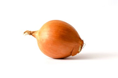 taze soğan üzerinde beyaz izole.