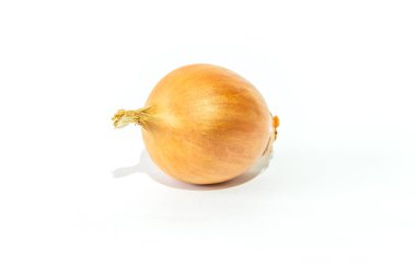 taze soğan üzerinde beyaz izole.