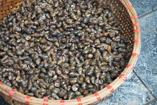 Escargots Fraîchement Lavés Dans Grand Panier Bambou Vendre Marché Extérieur — Photo