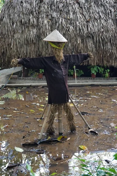 Funky straw man scarecrow with coat and traditional conical hat standing in muddy garden field with thatched hut in background in rural Vietnam