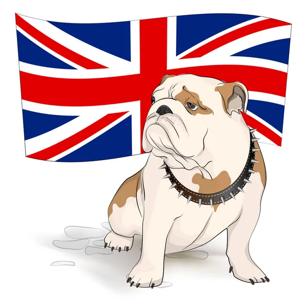 英国の旗の背景に英国のブルドッグ — ストックベクタ