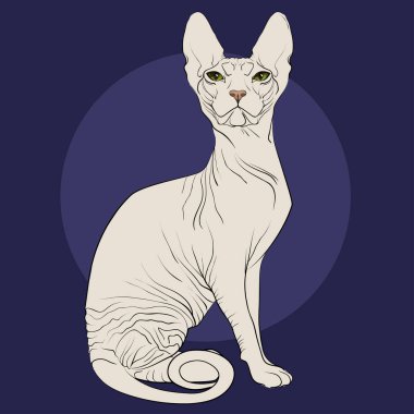 Kedi doğurmak Sfenks'in mavi bir arka plan üzerinde