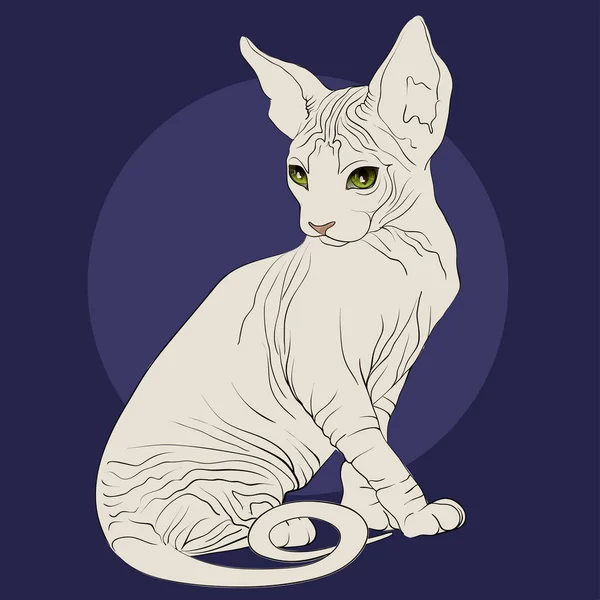 Gatto con gli occhi verdi razza cucciolo su uno sfondo blu — Vettoriale Stock