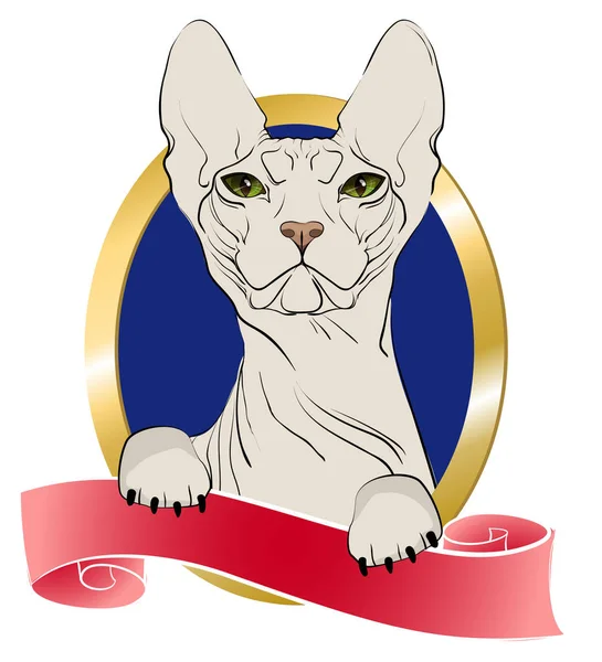 A szfinx fajta macska — Stock Vector