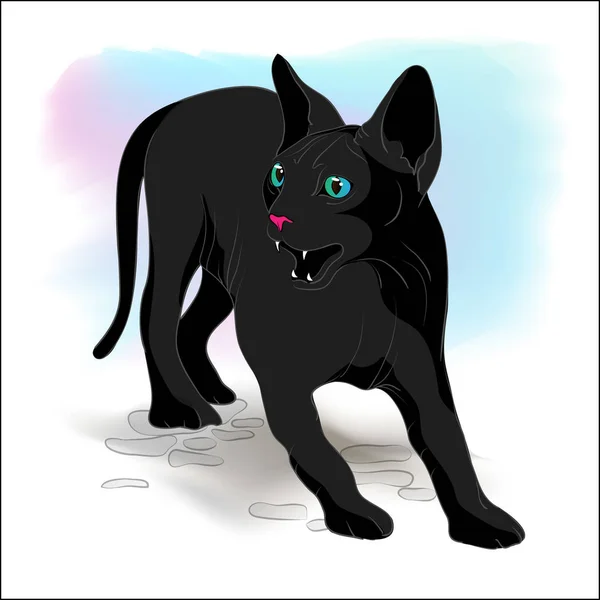 Gato negro en una rabia — Archivo Imágenes Vectoriales