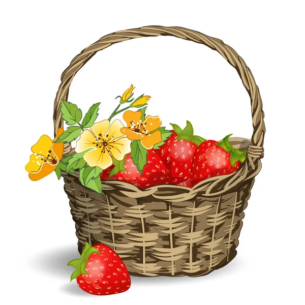Korb mit Erdbeeren — Stockvektor