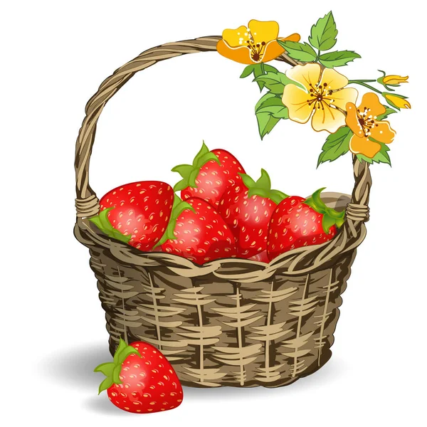 Erdbeeren im Korb — Stockvektor