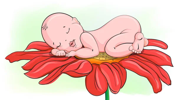 En sovande bebis liggande på en röd blomma — Stock vektor
