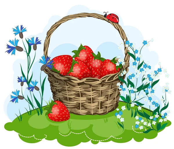 Cesta de fresas en un prado verde con flores de prado — Vector de stock