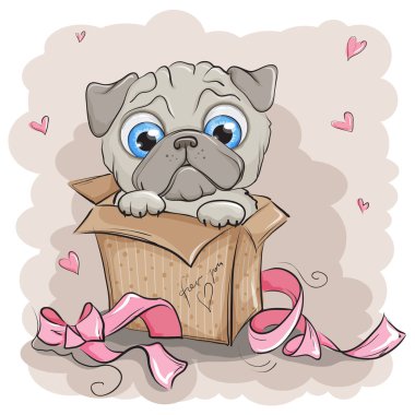 Güzel ve sevimli köpek yavrusu pug köpek hediye kutusu