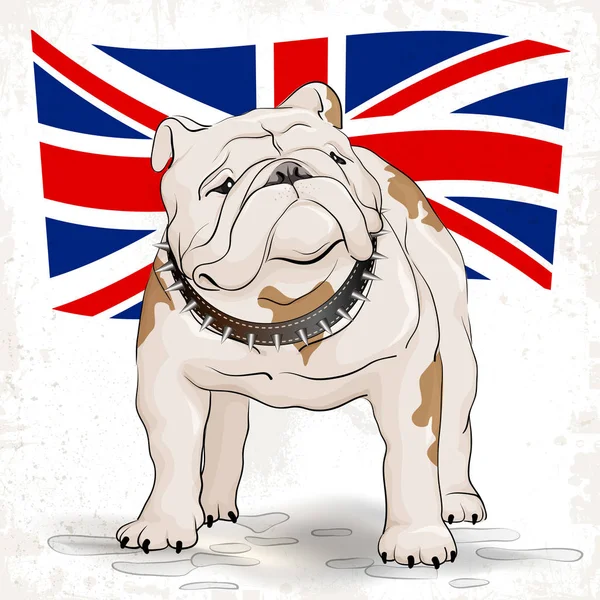 英国斗牛犬英国国旗背景 — 图库矢量图片