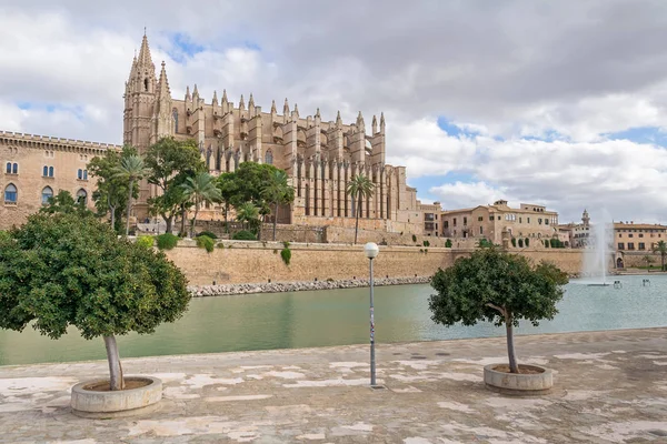 Palma de Mallorca, İspanya 'daki Parque del Mar ve Palma Katedrali — Stok fotoğraf