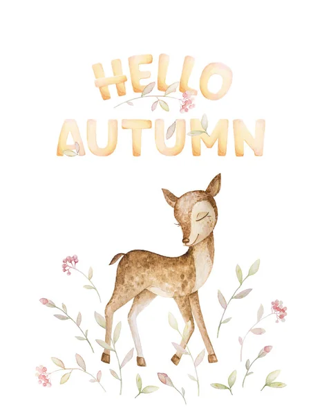 Hello Autumn. Forest animals. Little deer. Flowers, branches, leaves. Red Rowan. White background. Print quality. Stock Picture