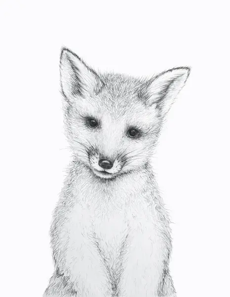 Cute Little Fox Pencil Draw Nursery Wall Art Kids Art — Stock Photo, Image