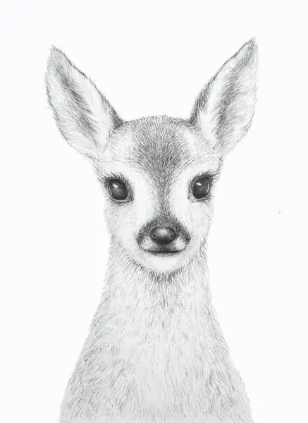 Little Deer Pencil Draw Nursery Wall Art Kids Art Gift Stock Photo