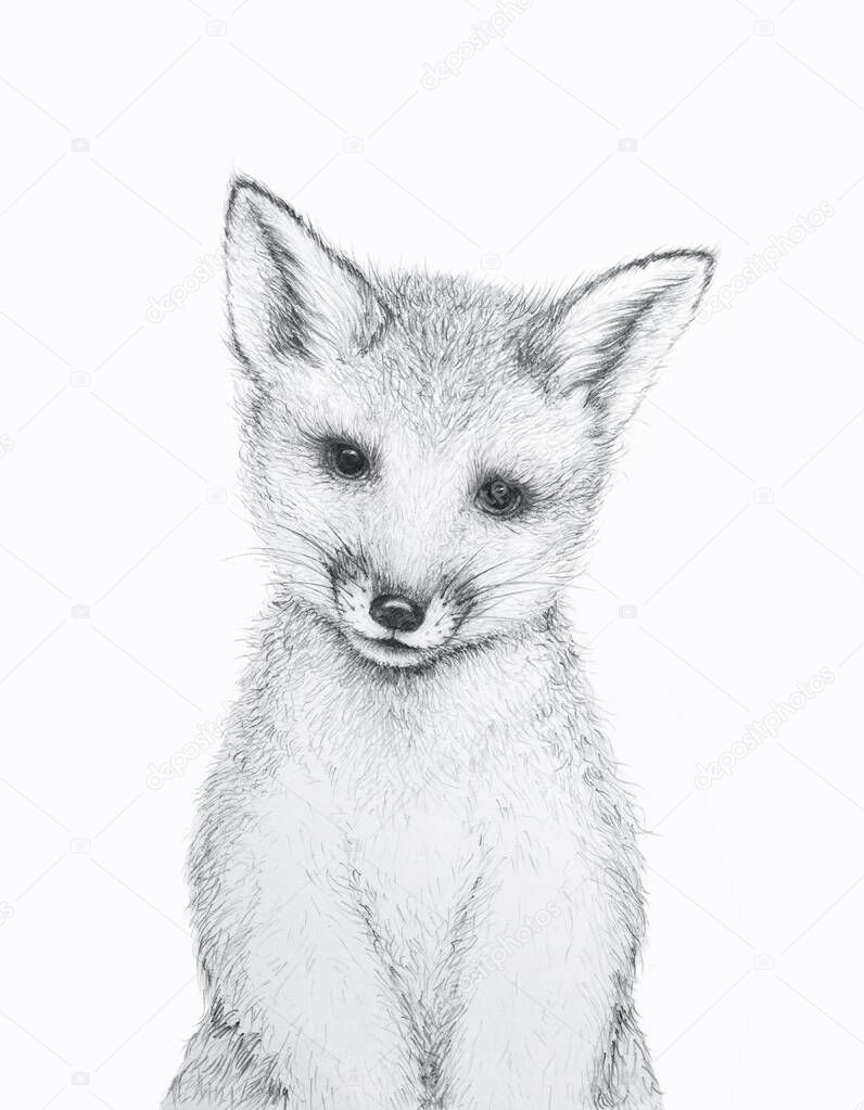 Cute Little Fox. Pencil Draw. Nursery Wall Art. Kids Art Gift. Forest animal. White background