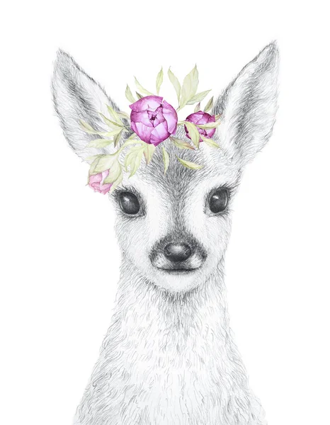 Little Deer Pencil Draw Watercolor Flowers Decor Nursery Wall Art — Stock Photo, Image