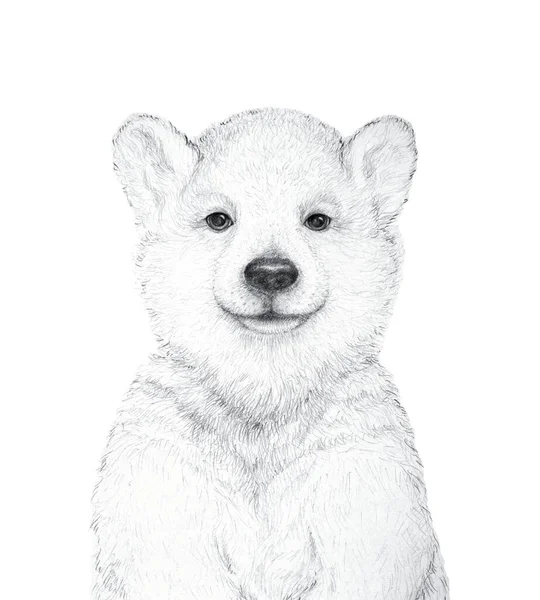 Μικρή Αρκούδα Σχεδίαση Μολυβιού Νηπιαγωγείο Wall Art Δώρο Παιδικής Τέχνης — Φωτογραφία Αρχείου