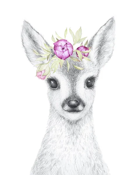 Little Deer Pencil Draw Watercolor Flowers Decor Nursery Wall Art Stock Picture