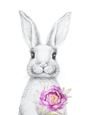 Şirin Tavşan. Paskalya Tavşanı. Kalem Çizimi. Suluboya çiçek dekoru. Çocuk odası duvar sanatı. Çocuk Sanat Hediyesi. Orman hayvanı. Beyaz arkaplan
