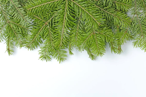Las Ramas Brillantes Naturales Árbol Navidad Cerca Sobre Fondo Blanco — Foto de Stock