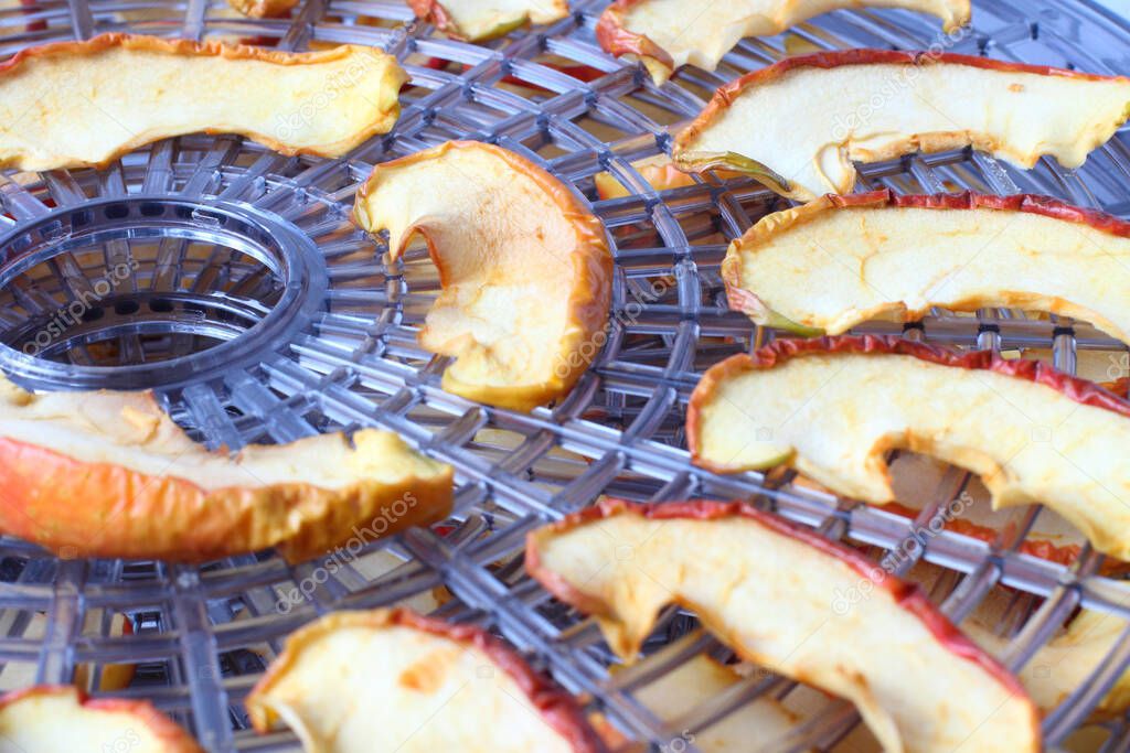 Grid for home drying of fruits and vegetables with dried apples, close-up.