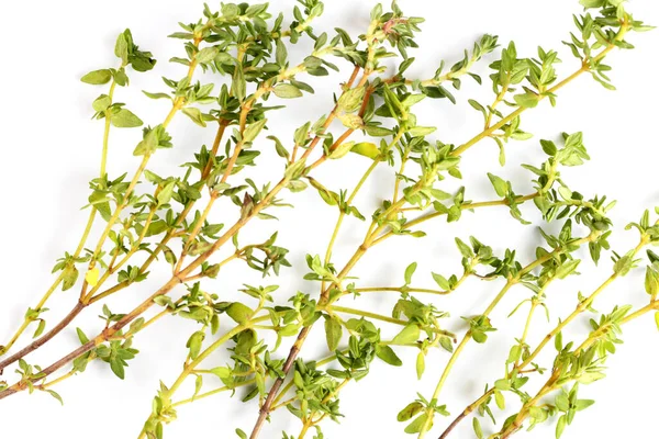 Sprigs Fresh Thyme White Background Közelkép Lapos Fektetés Felülnézet — Stock Fotó