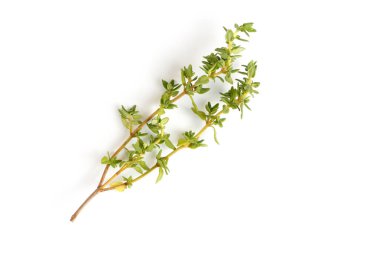 Beyaz arkaplanda kekik dalları, yakın çekim, düz alan, üst görünüm.