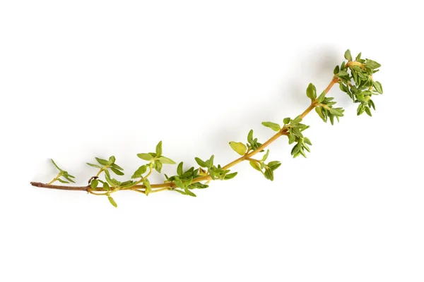 Thyme Sprigs Fundo Branco Close Flat Lay Vista Superior — Fotografia de Stock