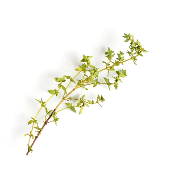 Sprig Fresh Thyme White Background Közelkép Lapos Laikus Felülnézet — Stock Fotó