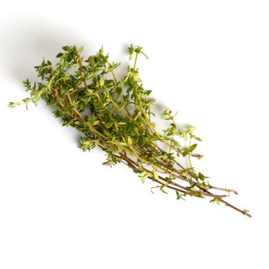 Beyaz arkaplanda kekik filizleri, yakın çekim, düz alan, kopyalama alanı, üst görünüm.