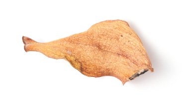 Kuru orkide yaprağı, beyaz arkaplan, altın rengi, yakın plan, eşsiz şekil.