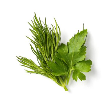 Yeşil maydanozlu ve dereotlu bir dal beyaz arka planda, düz bir zemin, üst manzara.