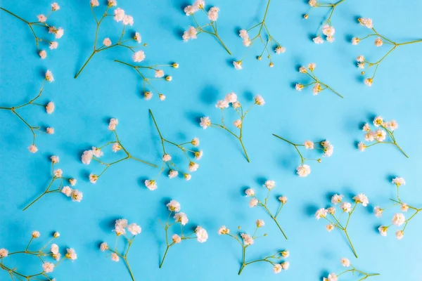 Flowers pattern composition. Spring concept. Gypsophila flowers on blue background.  Flat lay, top view.