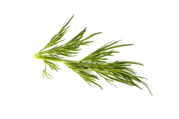 Branch Green Dill White Background Close Flat Lay Top View — Stock fotografie