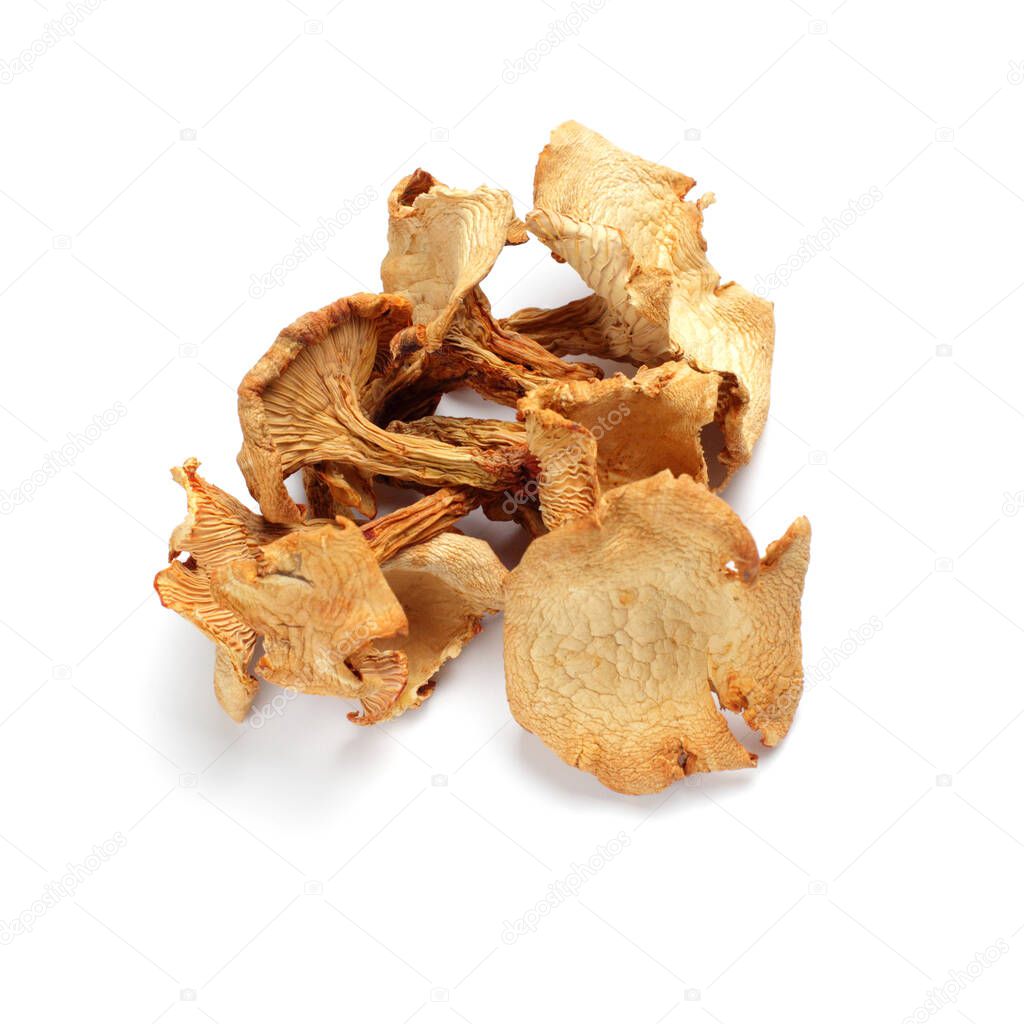 Dried chanterelle mushrooms close-up on a white background, isolate.