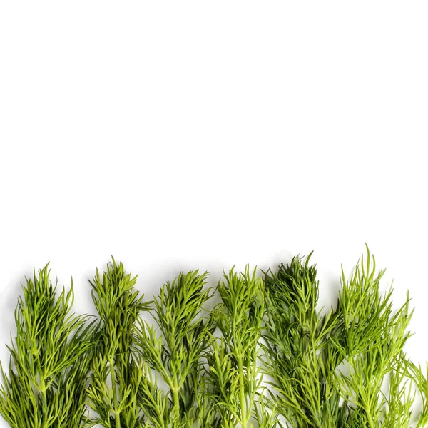 Zweige Von Grünem Dill Auf Weißem Hintergrund Isoliert Nahaufnahme Flache — Stockfoto