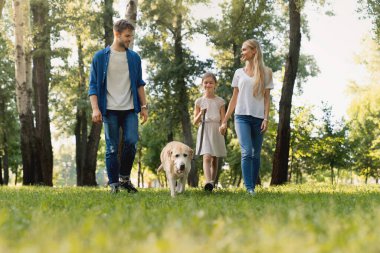 Uzun boylu, gülümseyen küçük bir kız ve ailesi köpekle parkta yürüyorlar.