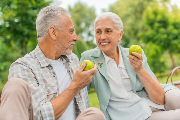 Porträt Eines Schönen Senioren Paares Das Auf Einer Decke Freien — Stockfoto