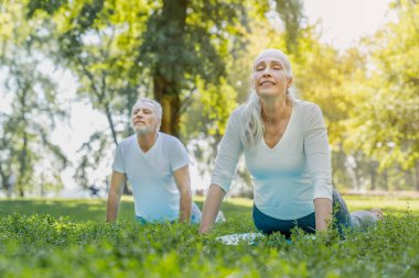 Parkta yoga. Son sınıf aile çifti dışarıda egzersiz yapıyor..