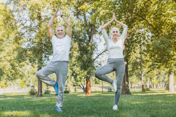 Yoga Parc Couple Famille Aîné Faisant Exercice Extérieur — Photo