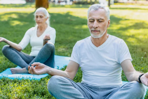 Yoga Parc Couple Âgé Assis Dans Pose Lotus Sur Herbe — Photo