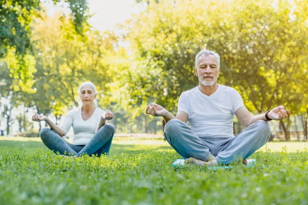 Yoga Parc Couple Âgé Assis Dans Pose Lotus Sur Herbe — Photo