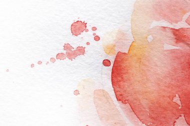 Bouquet of flowers. Spring. Summer. watercolor